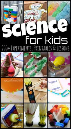 Kindergarten Science Activities, 123 Homeschool 4 Me, Pre-k Science, Kid Experiments, Easy Science Experiments, Cool Science Experiments, Kindergarten Science