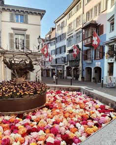 a flower bed in the middle of a street with buildings and flags on both sides