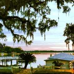 there is a boat dock on the water with trees hanging over it's sides