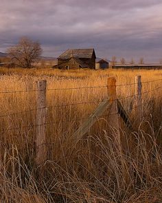 an old farm house sits in the distance behind a barbed wire fence and tall grass