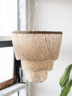 a chandelier hanging from the ceiling next to a potted plant