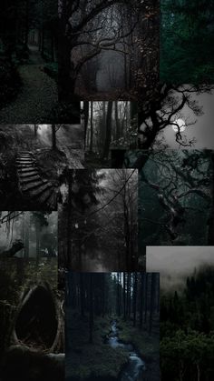 a collage of different images with trees and stairs in the woods at night time