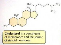 the diagram shows how cholesterol is a constituent of membranes and the source of sterolid homones