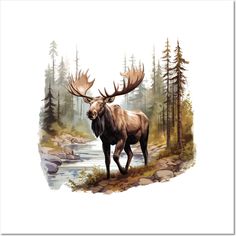 a moose standing in the middle of a forest next to a river and pine trees