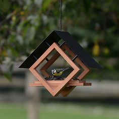 a bird feeder hanging from a tree branch