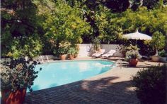 an empty swimming pool surrounded by trees and plants