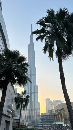 the burj building is surrounded by palm trees in front of other tall buildings