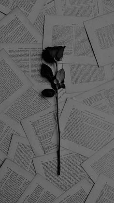 a single rose sitting on top of an old book with pages all over the place