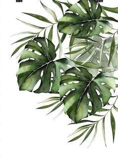 watercolor painting of green leaves on white background with text that reads,'i love you