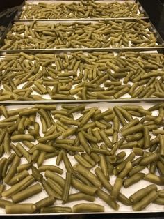 three trays filled with green beans sitting next to each other