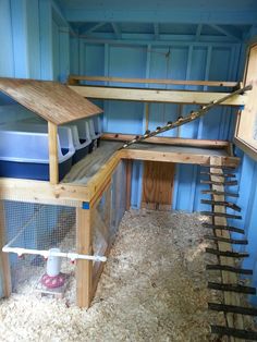 a chicken coop with stairs leading up to the top and bottom floor, in front of a blue wall