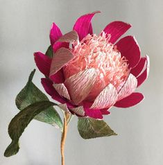 a pink flower with green leaves in a vase