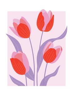 three red flowers on a pink background