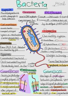 a poster with different types of food and words on it, including an eggplant