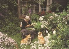 an old woman sitting in a chair surrounded by flowers with two corgi laying on the ground