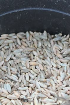 a pan filled with rice sitting on top of a table