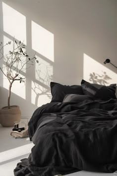 a bed with black sheets and pillows in a white room next to a potted plant