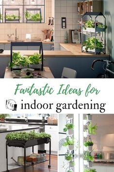 an indoor garden with lots of plants growing in it and the words fantastic ideas for indoor gardening