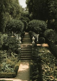 an image of a garden setting with steps leading up to the trees and bushes on either side