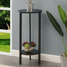 a potted plant sitting on top of a black table next to a window with grass and trees in the background