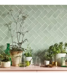 an instagram with plants and vases sitting on a shelf in front of a tiled wall