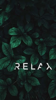 the word relax is surrounded by green leaves and grass on a dark background that reads relax