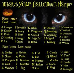 a black cat with blue eyes and the words what's your halloween name?