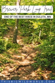 a trail in the woods with text overlay reading bruer park loop trail one of the best hikes in duuth, mn