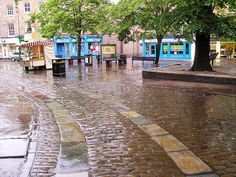 an empty street with benches and trees in the rain