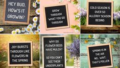 four different signs with flowers in them and the words do you know what they are?