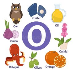 the letter o with an owl, orange and other objects in it royalty illustration on white background