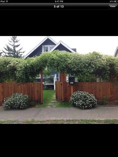 a wooden gate surrounded by bushes and shrubbery in front of a house with a driveway