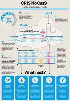 an info poster showing the different types of aircrafts in flight and how they are used