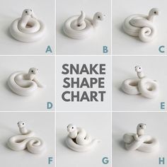 the instructions for how to make a snake shape