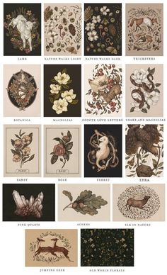 an image of different types of flowers and animals