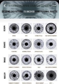 Eye Season Iridology, Iris Patterns Eye, Seasonal Eye Patterns, Summer Eye Patterns, Spring Eye Pattern Color Analysis, Winter Eye Pattern Color Analysis, Summer Eye Pattern Color Analysis, Color Season Eye Pattern, Seasonal Color Analysis Eyes