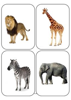 four different types of animals are shown in the picture, including an elephant, giraffe, and zebra