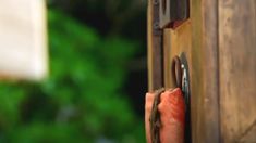 a close up view of a door handle on a wooden door with green trees in the background