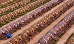 an aerial view of several people tending to plants in a field with no grass or dirt