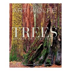 Trees-Becket Hitch Ralph Lauren Ad, Wise Tree, Decorating With Books, Best Coffee Table Books, Practical Magic House, Heaven Book, Free Book Pdf, Full Body Picture, Nature Photography Flowers