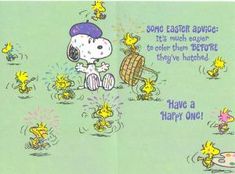 an image of a cartoon character with many ducks around him and the caption says, some easter advice it's much easier to follow before to other than before they have hatch