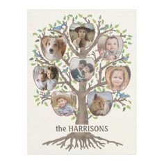 a family tree with many pictures and the words, the harrisons on it's side