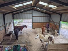 several horses are standing in their stalls inside the barn, some with saddles on them