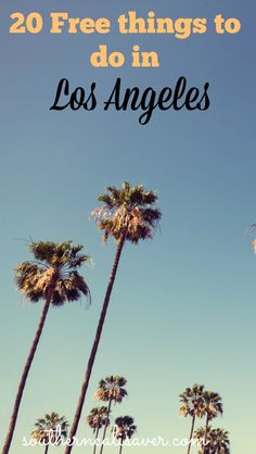 palm trees with the words 20 free things to do in los angeles