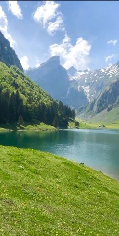 a mountain lake surrounded by lush green grass