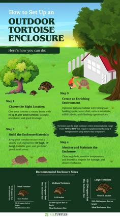 the info sheet for how to set up an outdoor tortoise enclosure