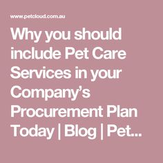 the words why you should include pet care services in your company's document plan today