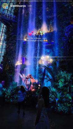 people are standing in front of a waterfall at the entrance to gardens by the bay