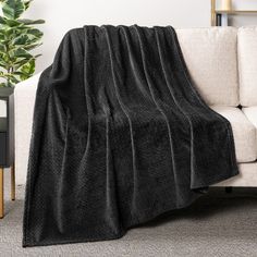 a couch with a black blanket on top of it next to a potted plant