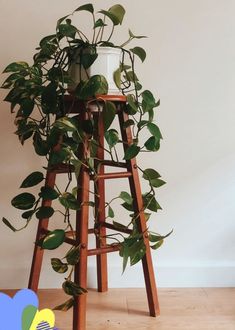 a tall wooden ladder holding a potted plant on top of it's side